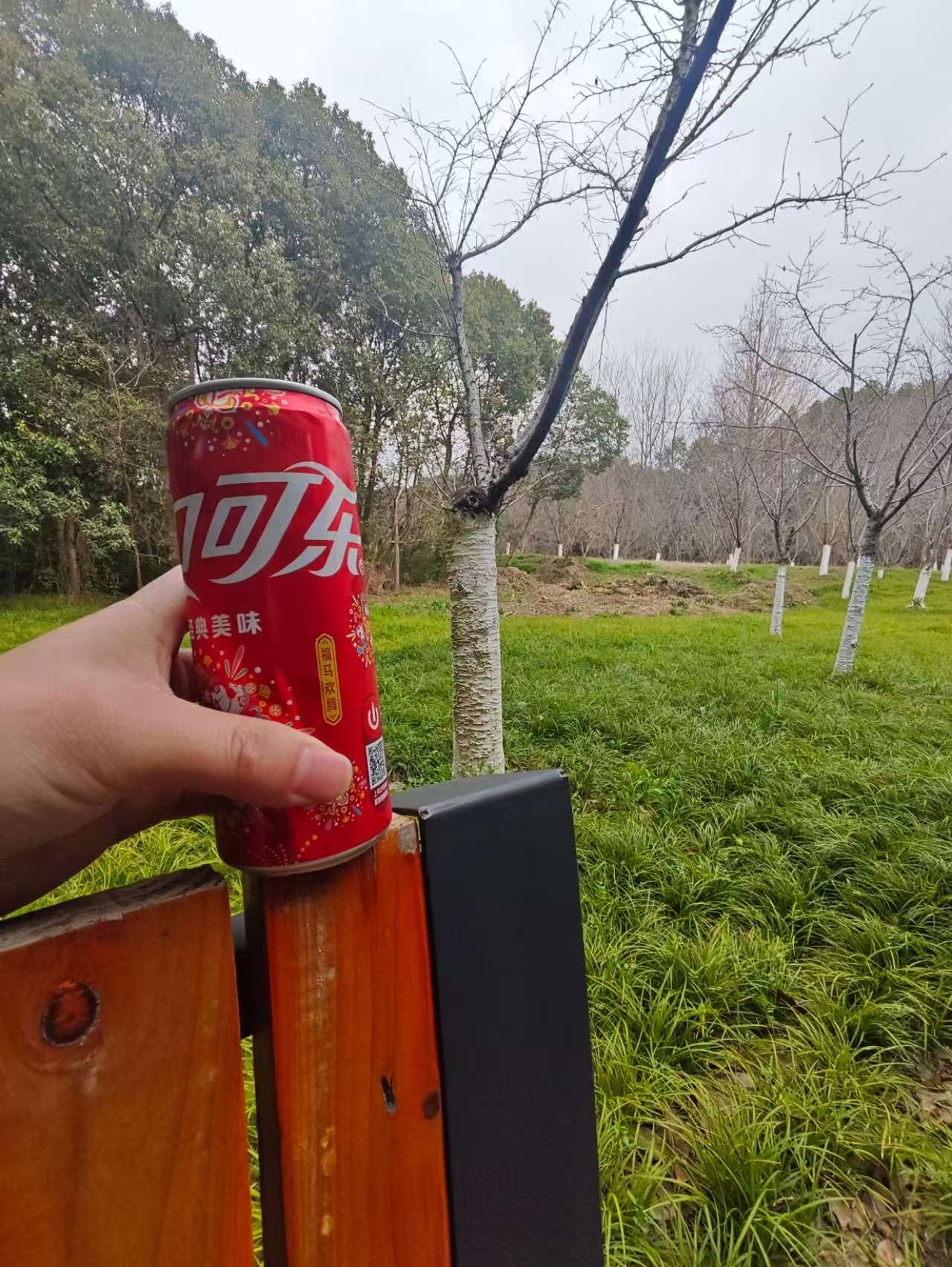 风景